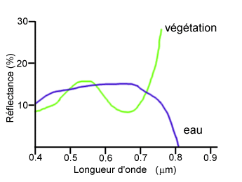 eau avec algues chloro